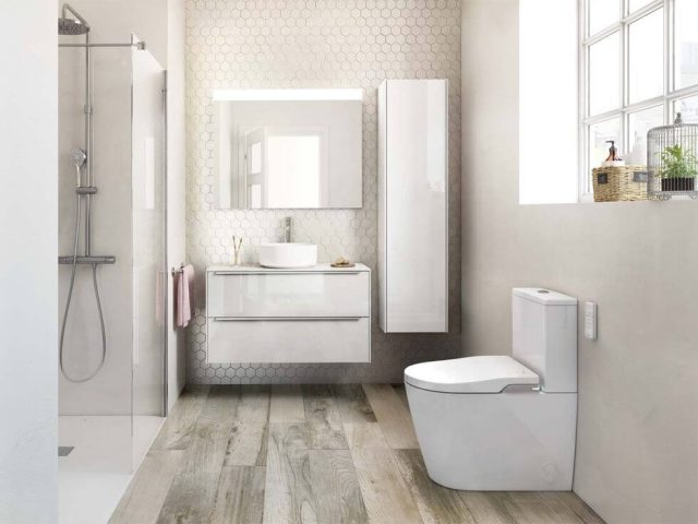 The Throne That Won’t Flush: Let’s Talk Toilet Clogs