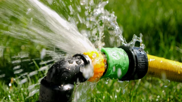 When Gardening Turns into a Water Feature: Hitting a Water Line by Accident